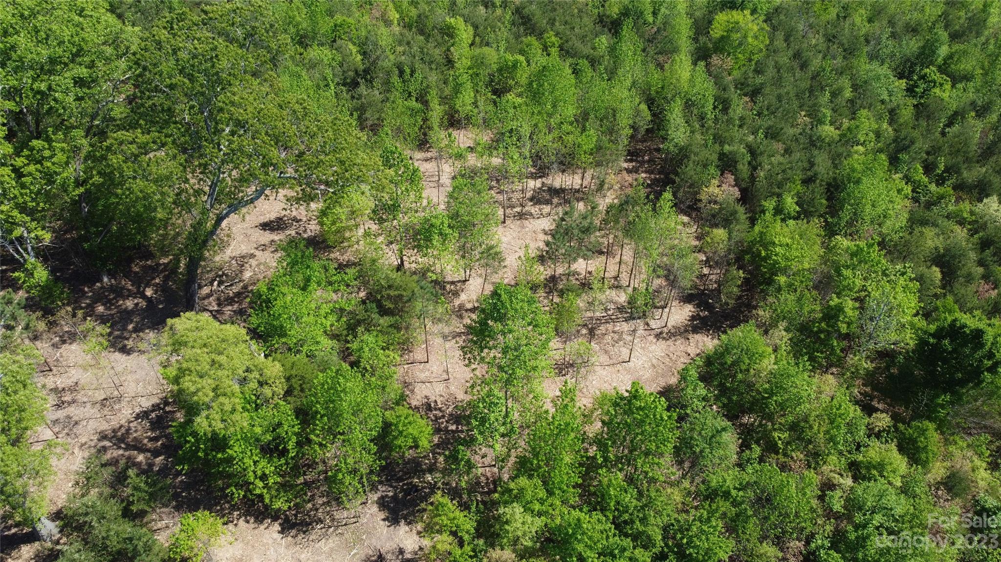 1101 Robinson Yelton Road Clover, SC 29710 - Photo 27 of 42