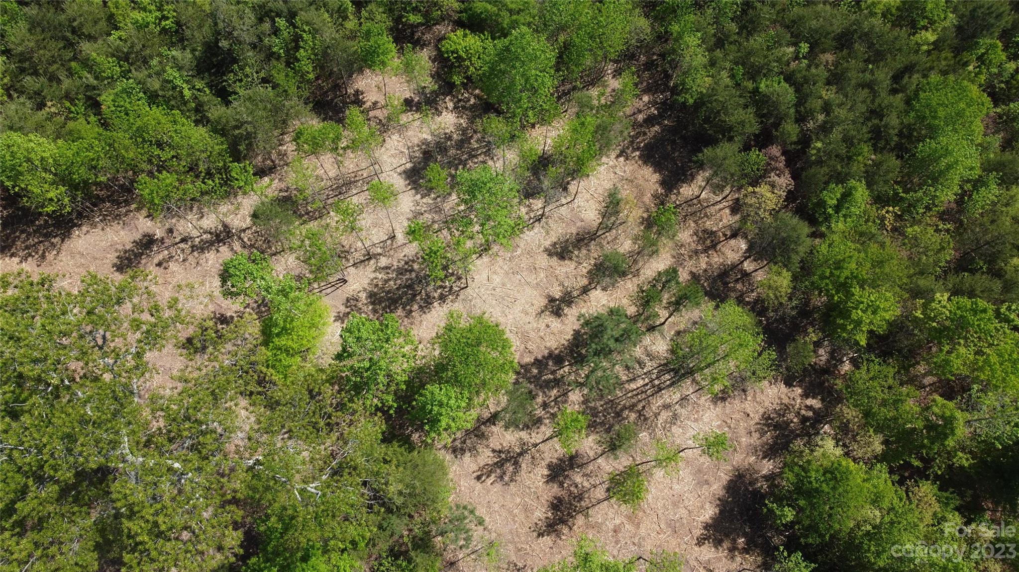 1101 Robinson Yelton Road Clover, SC 29710 - Photo 36 of 42