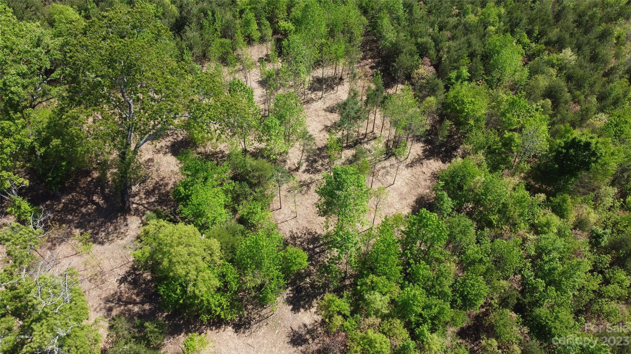 1101 Robinson Yelton Road Clover, SC 29710 - Photo 37 of 42