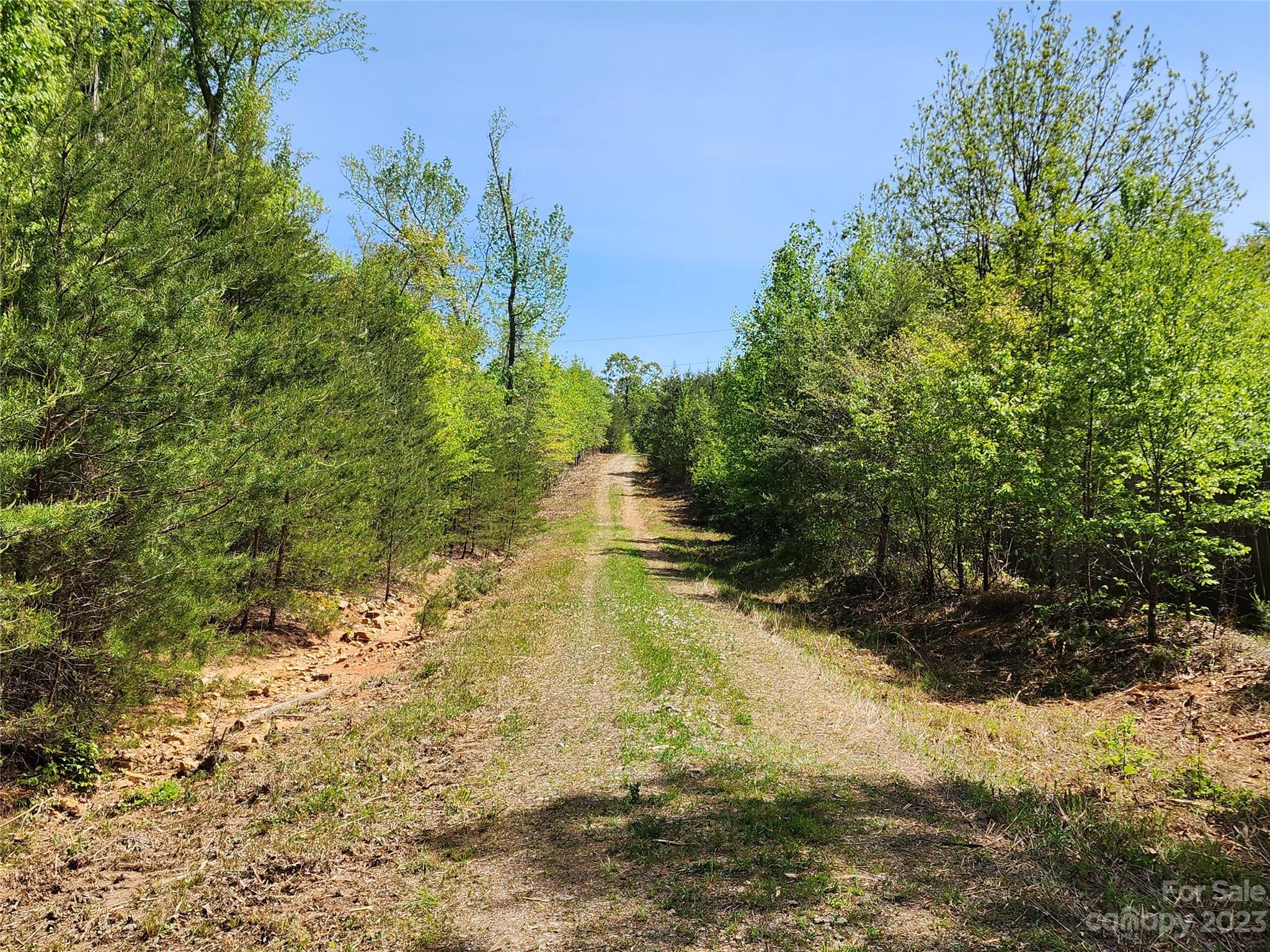 1101 Robinson Yelton Road Clover, SC 29710 - Photo 4 of 42