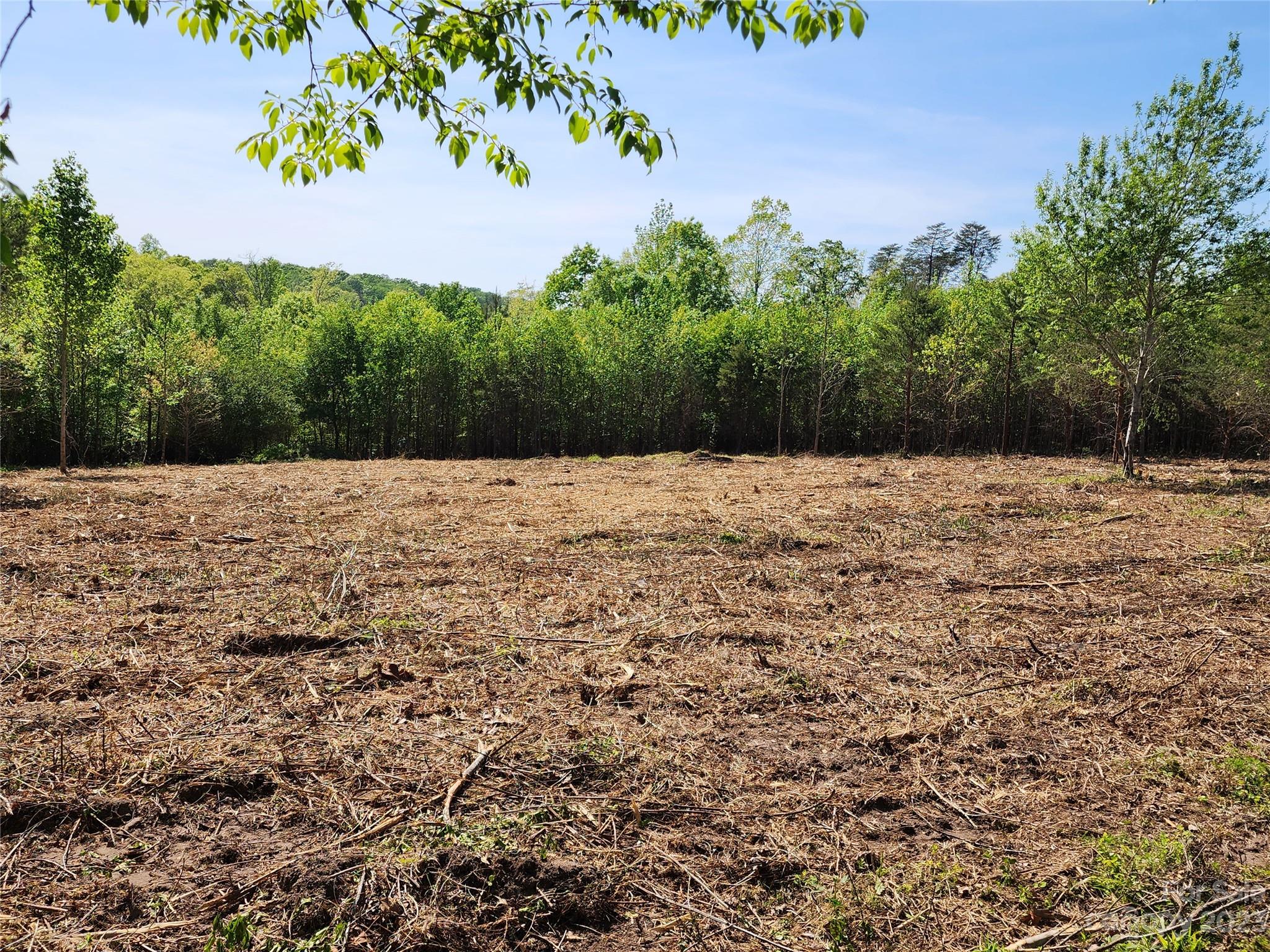 1101 Robinson Yelton Road Clover, SC 29710 - Photo 5 of 42