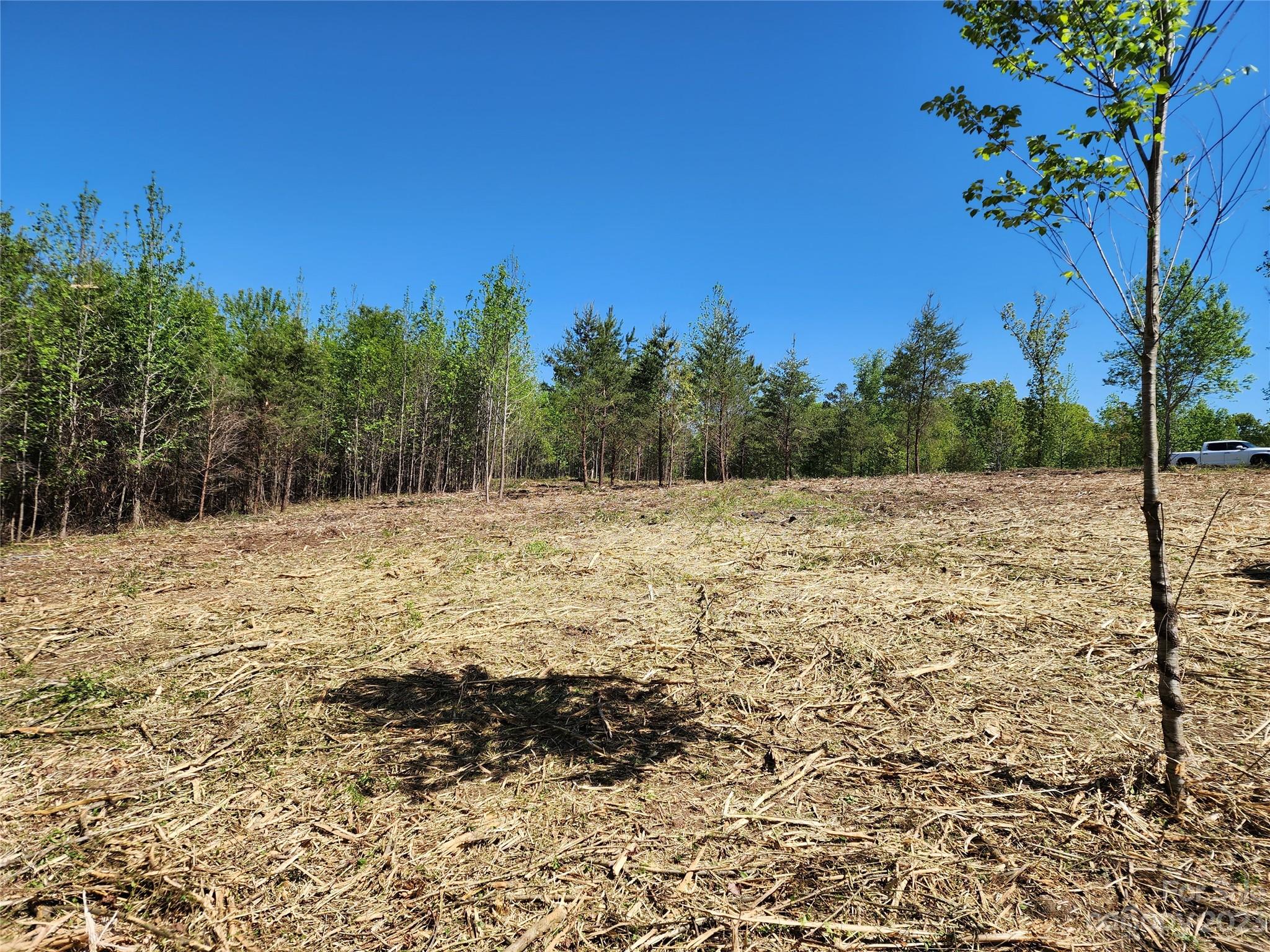 1101 Robinson Yelton Road Clover, SC 29710 - Photo 8 of 42