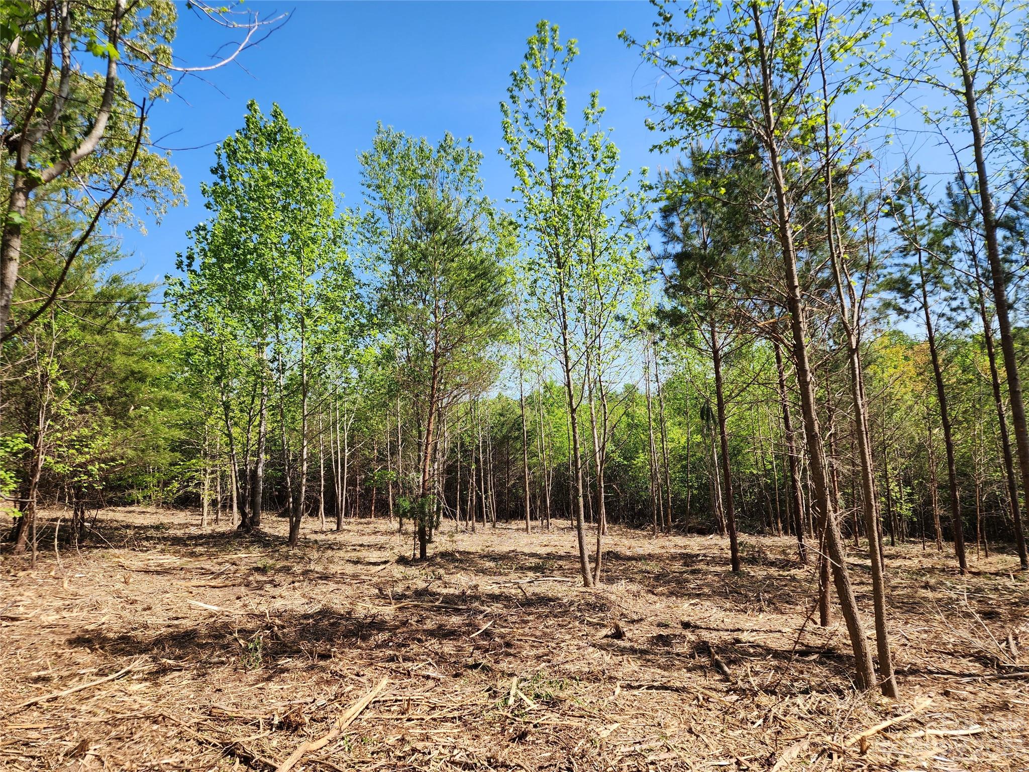 1101 Robinson Yelton Road Clover, SC 29710 - Photo 10 of 42