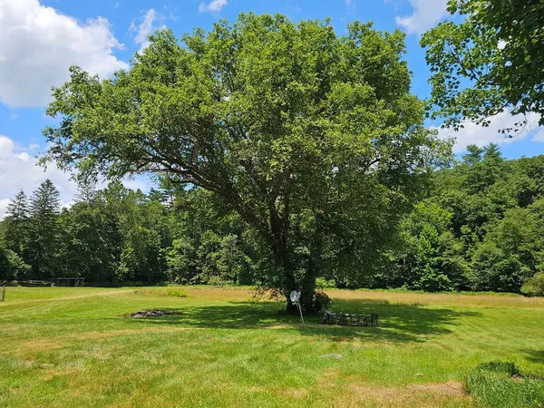 a view of a golf course with a lake