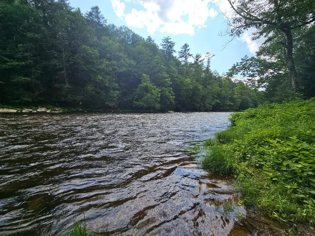 a view of a dry yard