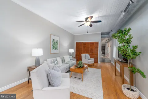 a living room with furniture and a potted plant
