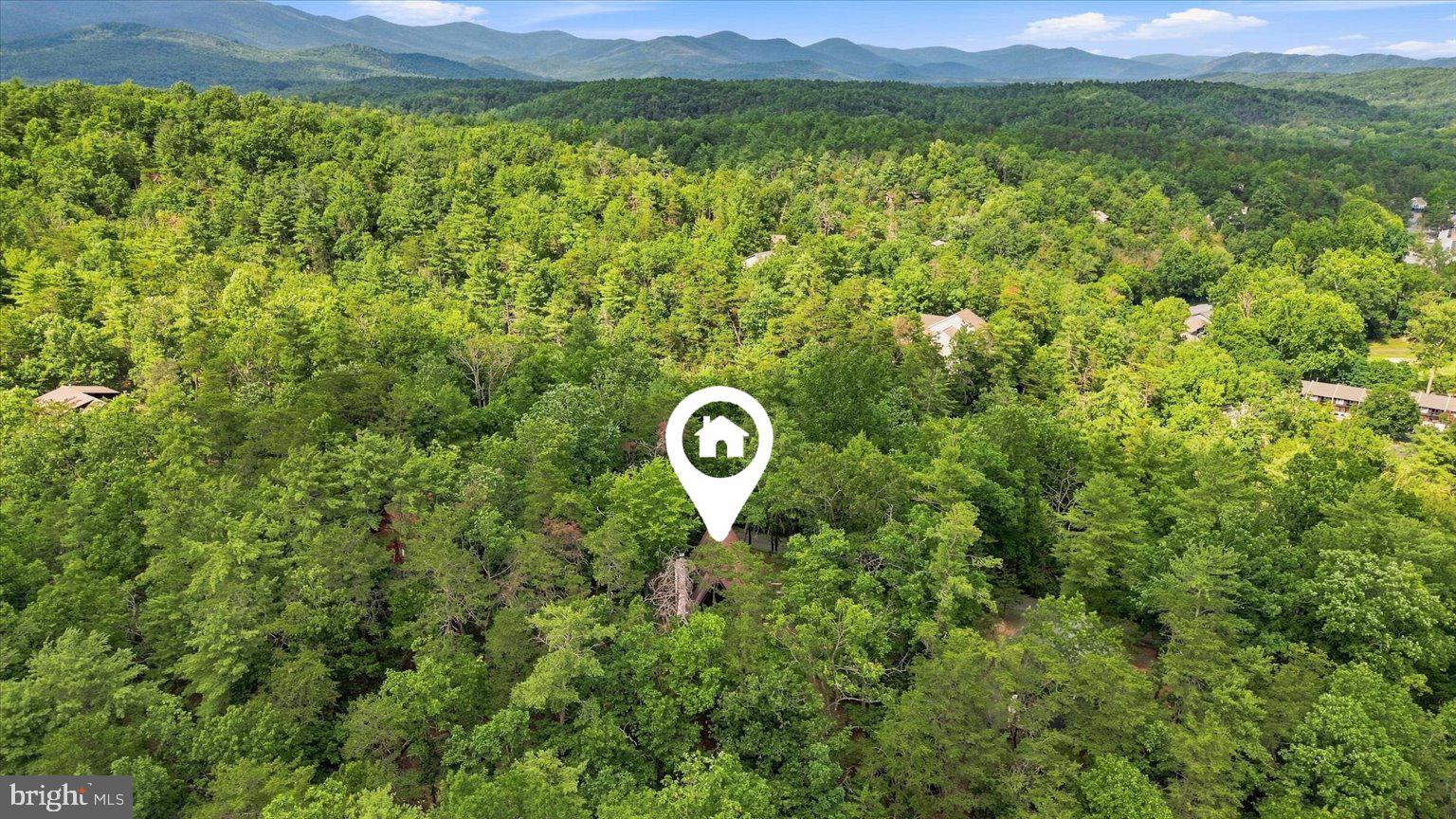 863 Lee Road Basye, VA 22810 - Photo 46 of 61