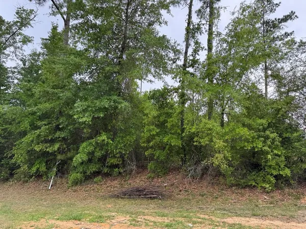 $1,600,000 | 195 Bayview Drive, Apalachicola, FL 32320