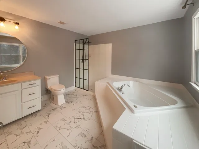 a bathroom with a sink a toilet and a bathtub