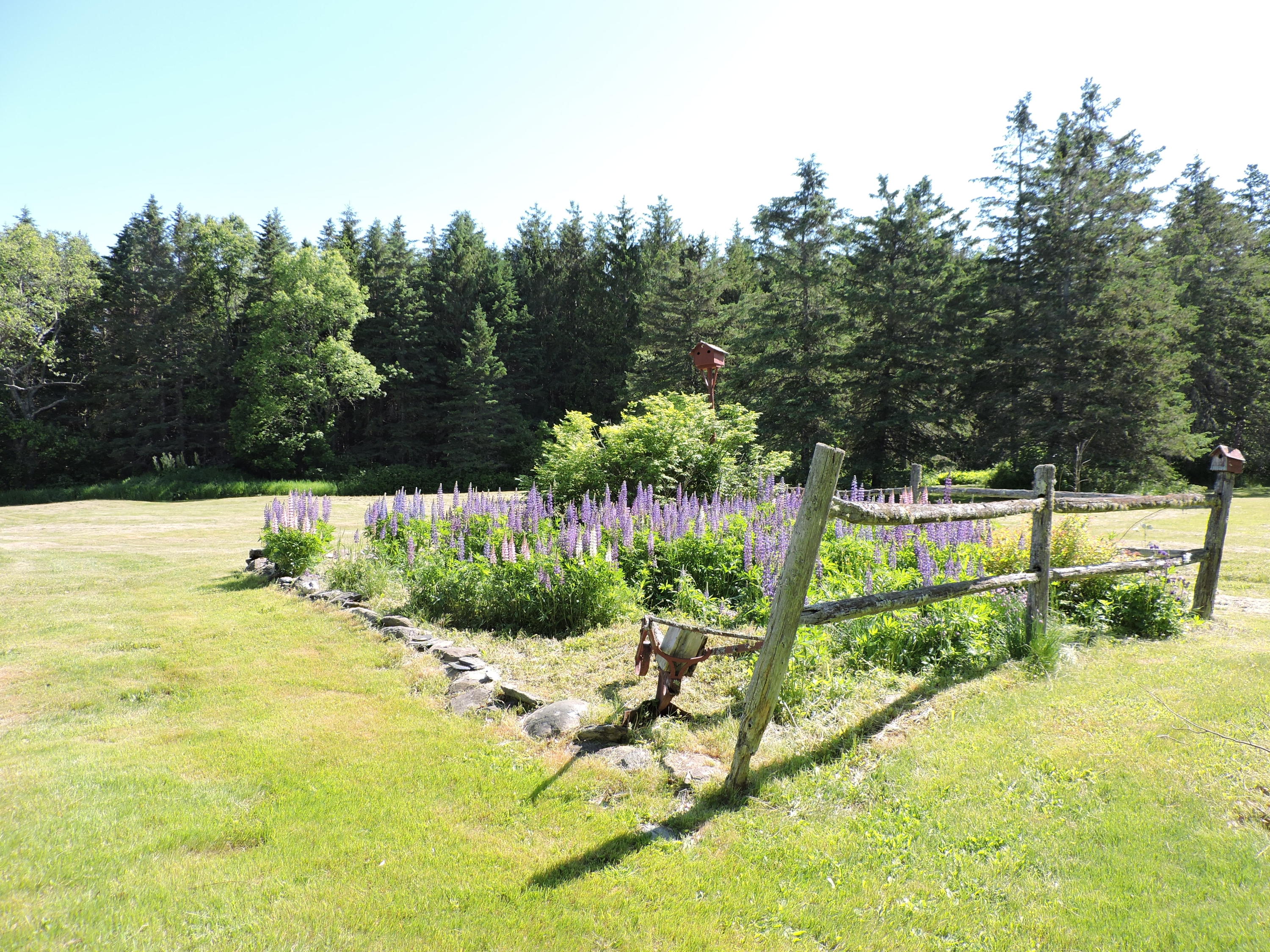 195 Sawyer Road Hampden, ME 04444 - Photo 7 of 20 Gardens