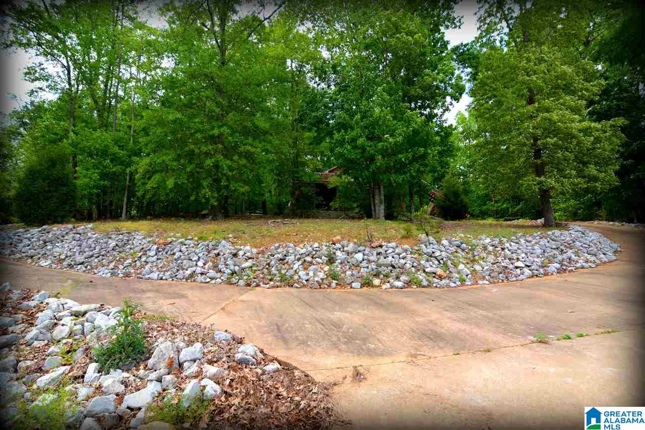 870 Black Acres Road Cropwell, AL 35054 - Photo 40 of 50