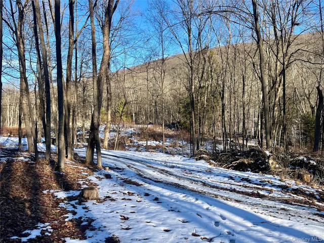 $199,000 | 80 Nelson Road, Monroe, NY 10950