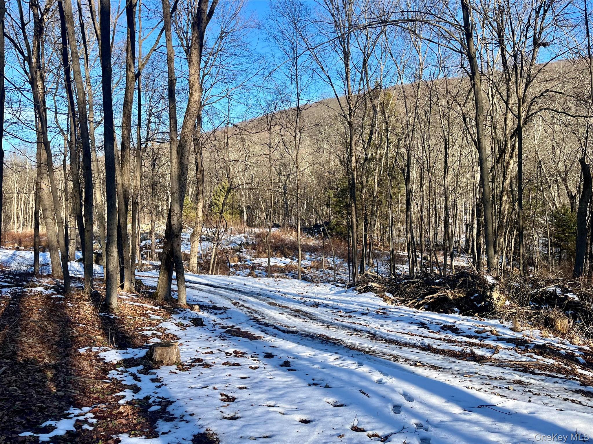 80 Nelson Road Monroe, NY 10950 - Photo 2 of 7 View of yard with a wooded view