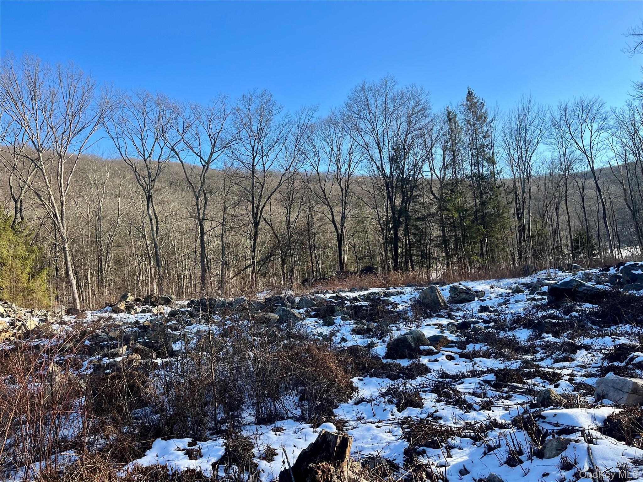 80 Nelson Road Monroe, NY 10950 - Photo 3 of 7 View of wooded area
