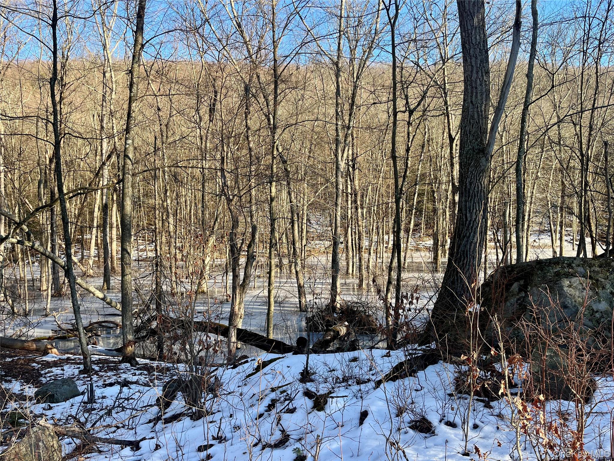 80 Nelson Road Monroe, NY 10950 - Photo 6 of 7 View of snow covered land