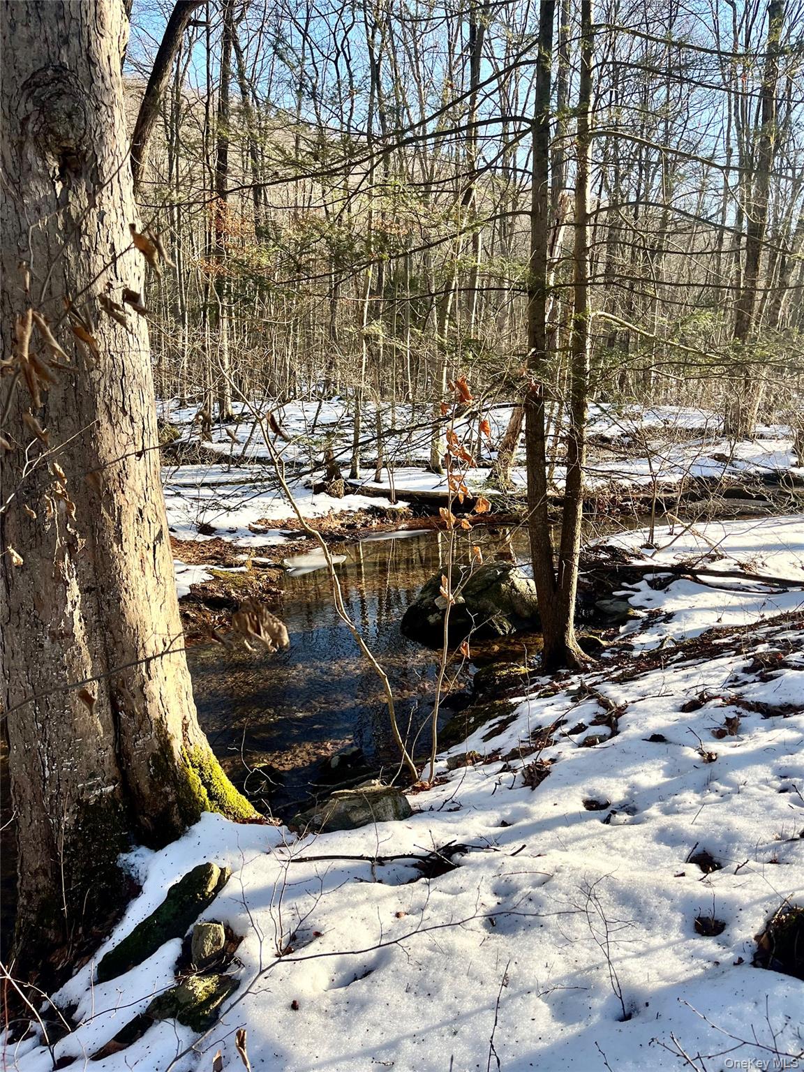 80 Nelson Road Monroe, NY 10950 - Photo 7 of 7 View of stream.