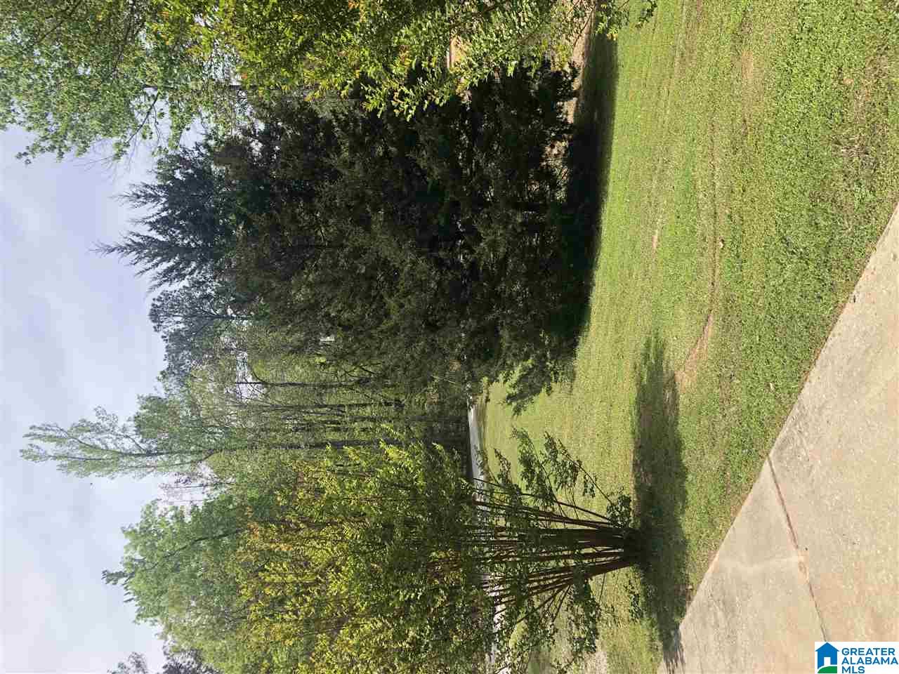 795 County Road 159 Jemison, AL 35085 - Photo 7 of 49