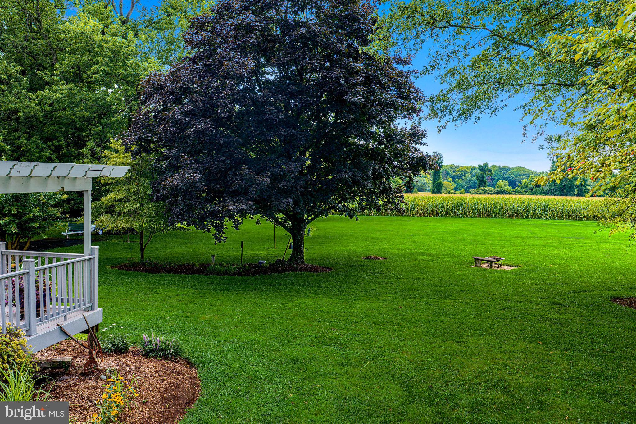 3609 Smith Road Darlington, MD 21034 - Photo 19 of 51 Private and beautiful backyard views