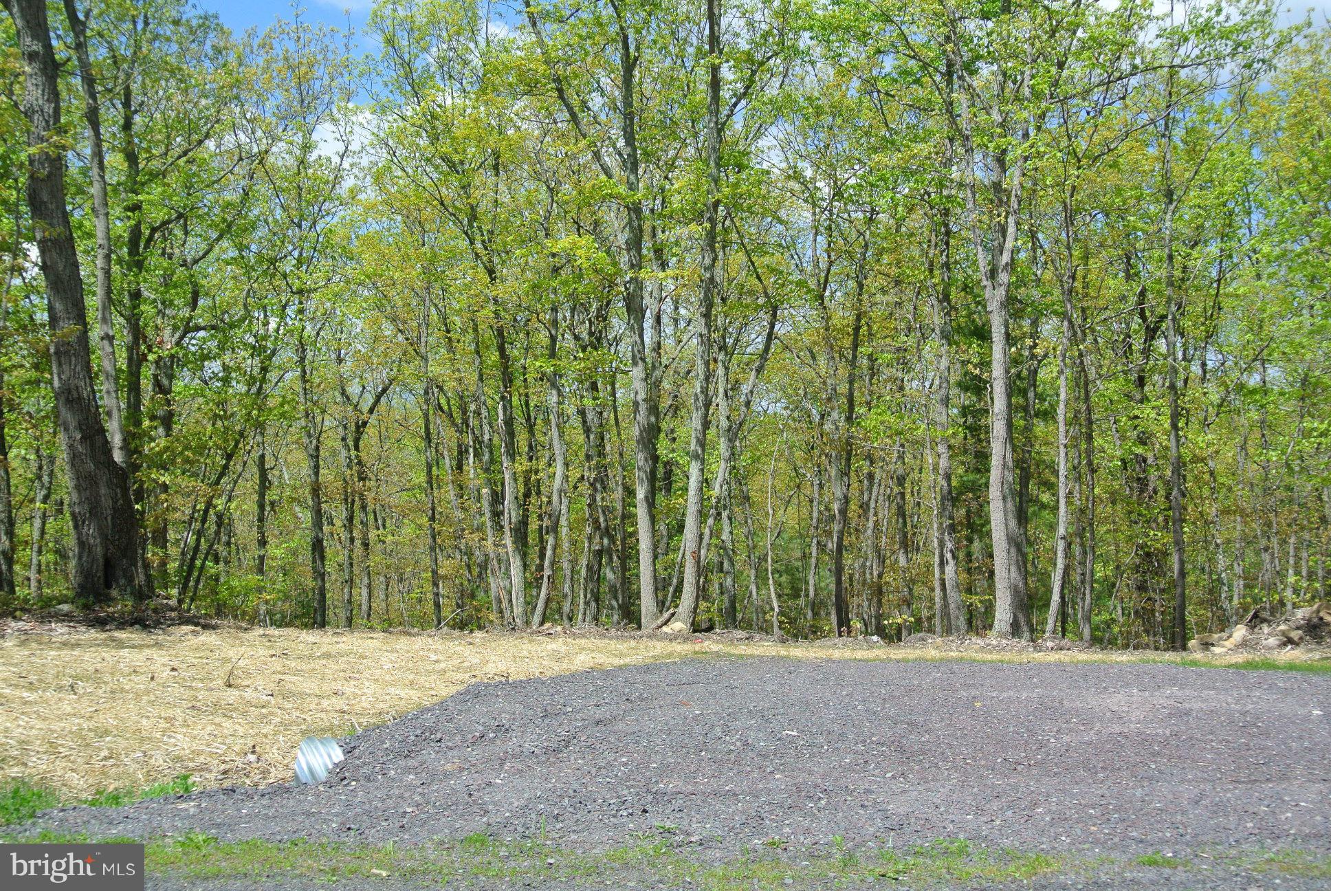 3 Alum Springs Road Rixeyville, VA 22737 - Photo 1 of 10 a view of a yard with large trees
