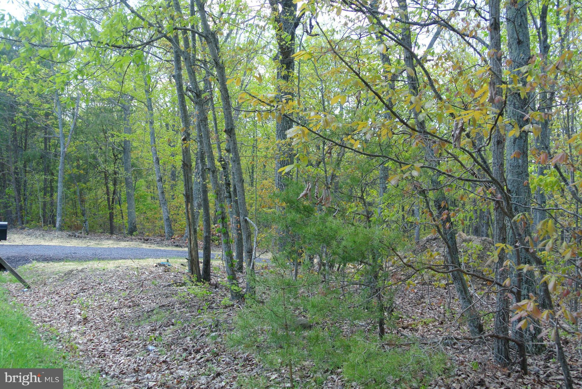 3 Alum Springs Road Rixeyville, VA 22737 - Photo 2 of 10 a view of backyard with green space
