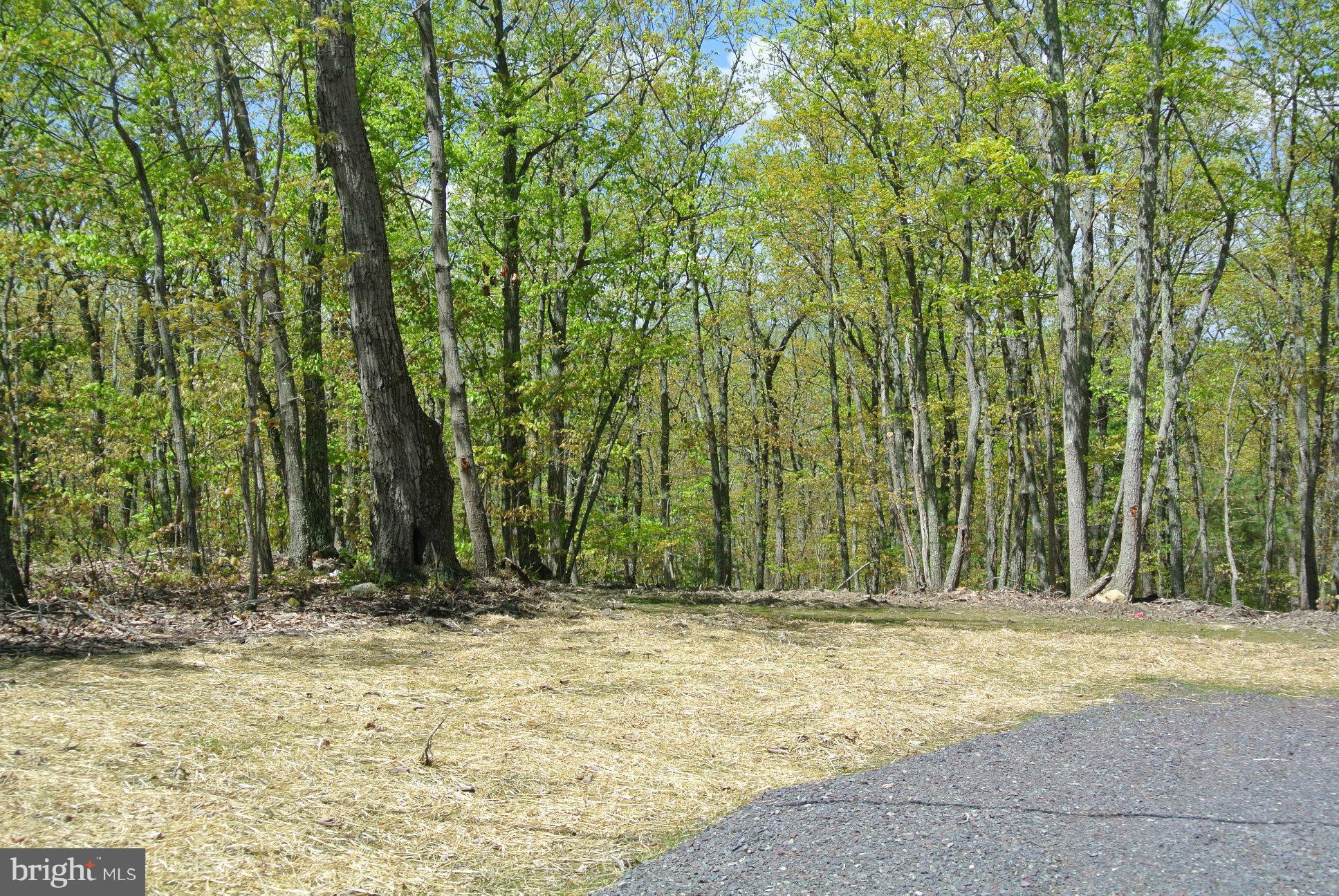 3 Alum Springs Road Rixeyville, VA 22737 - Photo 3 of 10 a view of wooden fence
