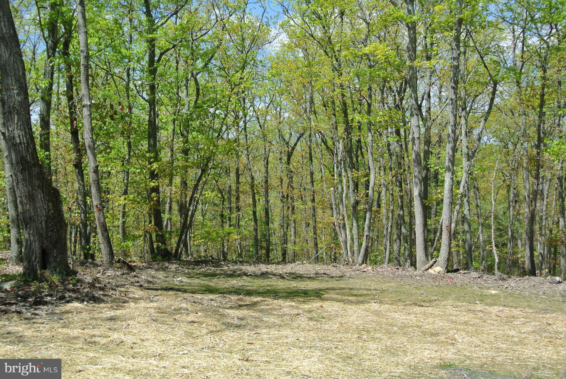 3 Alum Springs Road Rixeyville, VA 22737 - Photo 4 of 10 a view of a backyard with trees
