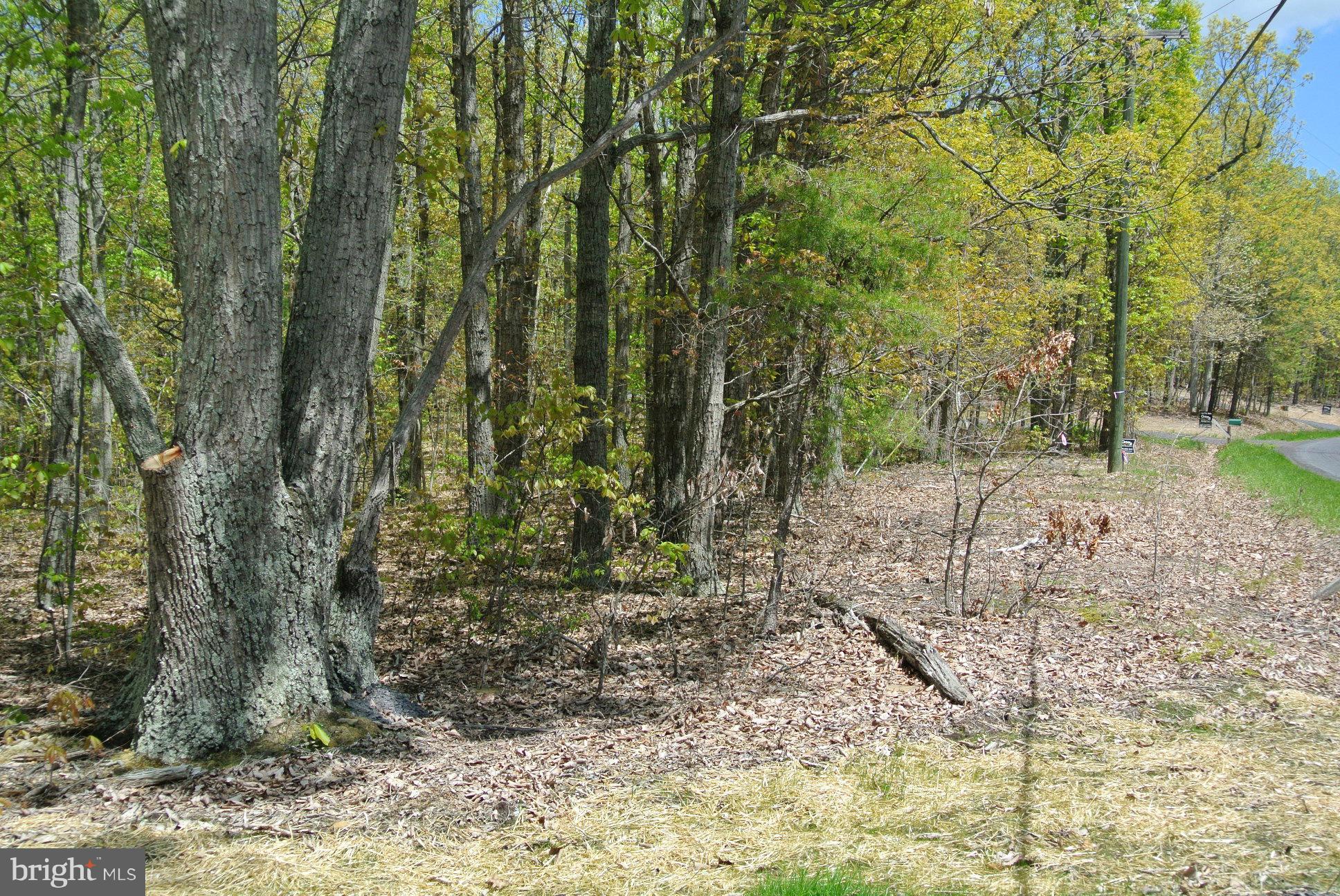 3 Alum Springs Road Rixeyville, VA 22737 - Photo 5 of 10 a backyard of a house with lots of green space
