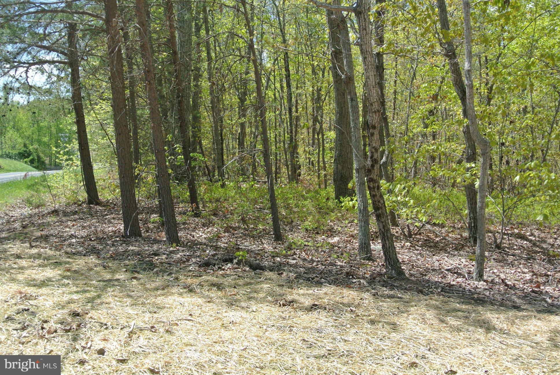 3 Alum Springs Road Rixeyville, VA 22737 - Photo 6 of 10 a view of outdoor space and trees