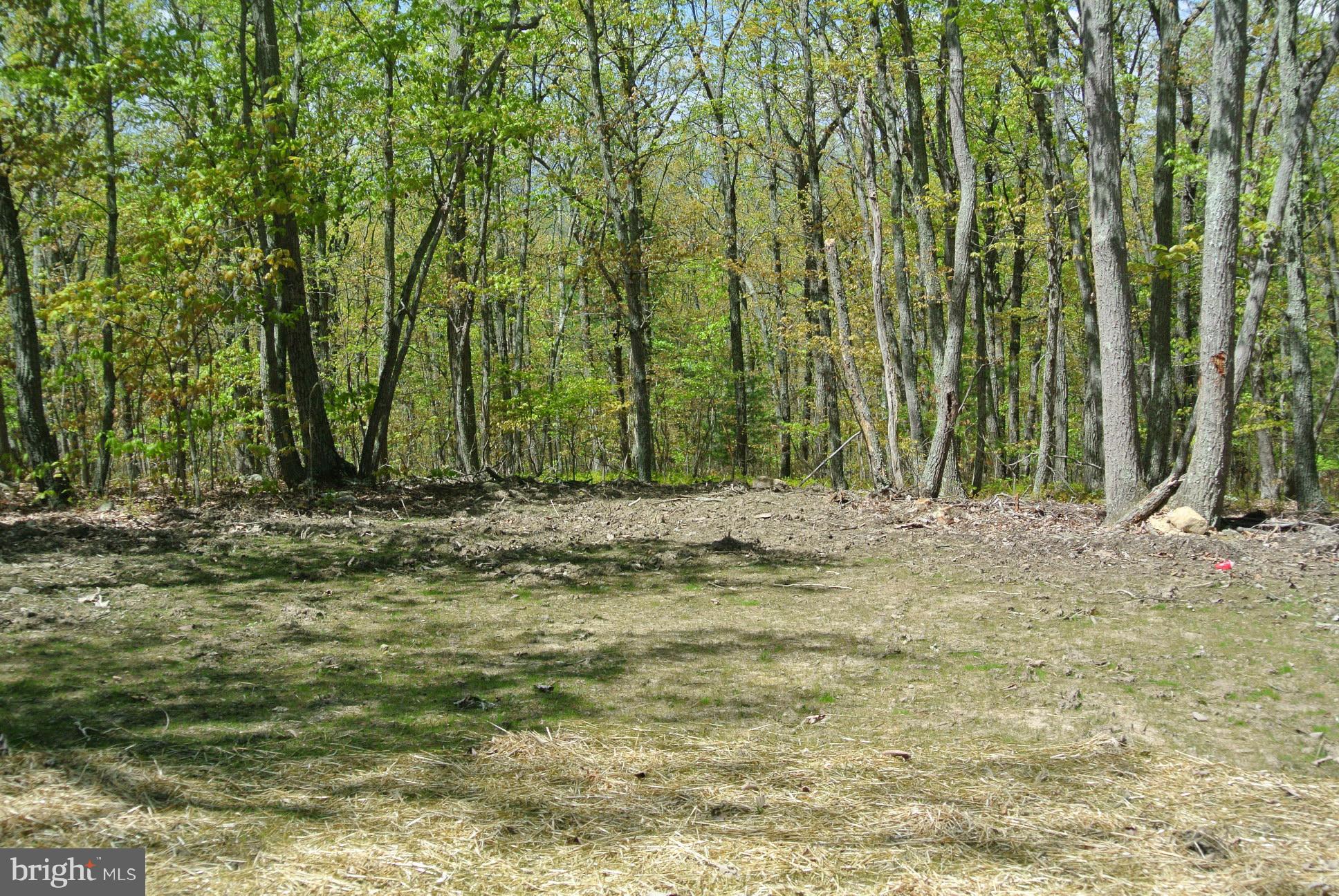 3 Alum Springs Road Rixeyville, VA 22737 - Photo 7 of 10 a view of outdoor space with trees
