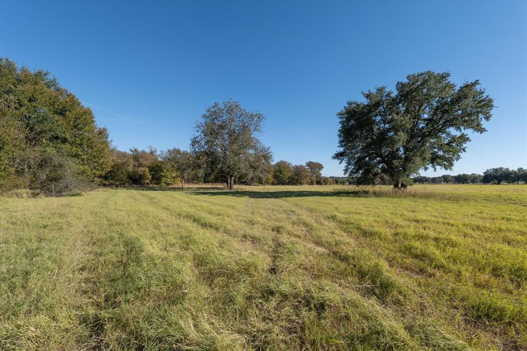10010 Horizon View Tolar, TX 76476 - Photo 4 of 10 a view of outdoor space and yard