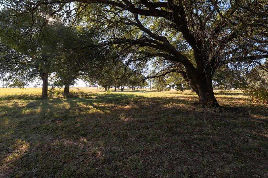 10010 Horizon View Tolar, TX 76476 - Photo 5 of 10 a view of outdoor space with trees