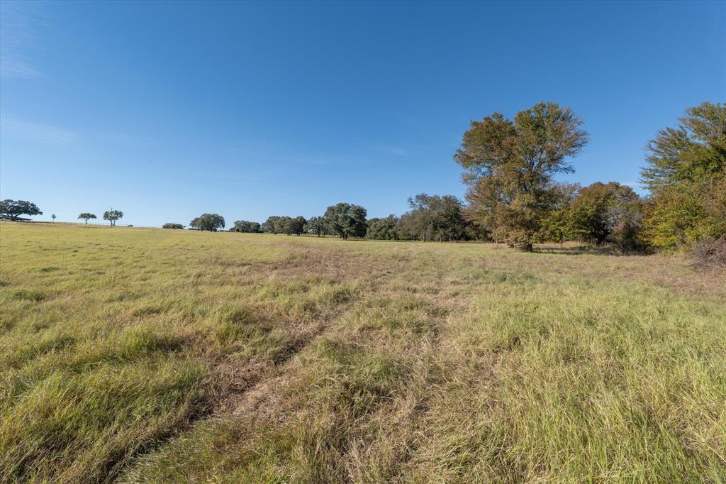 10010 Horizon View Tolar, TX 76476 - Photo 7 of 10 a view of a field with an ocean