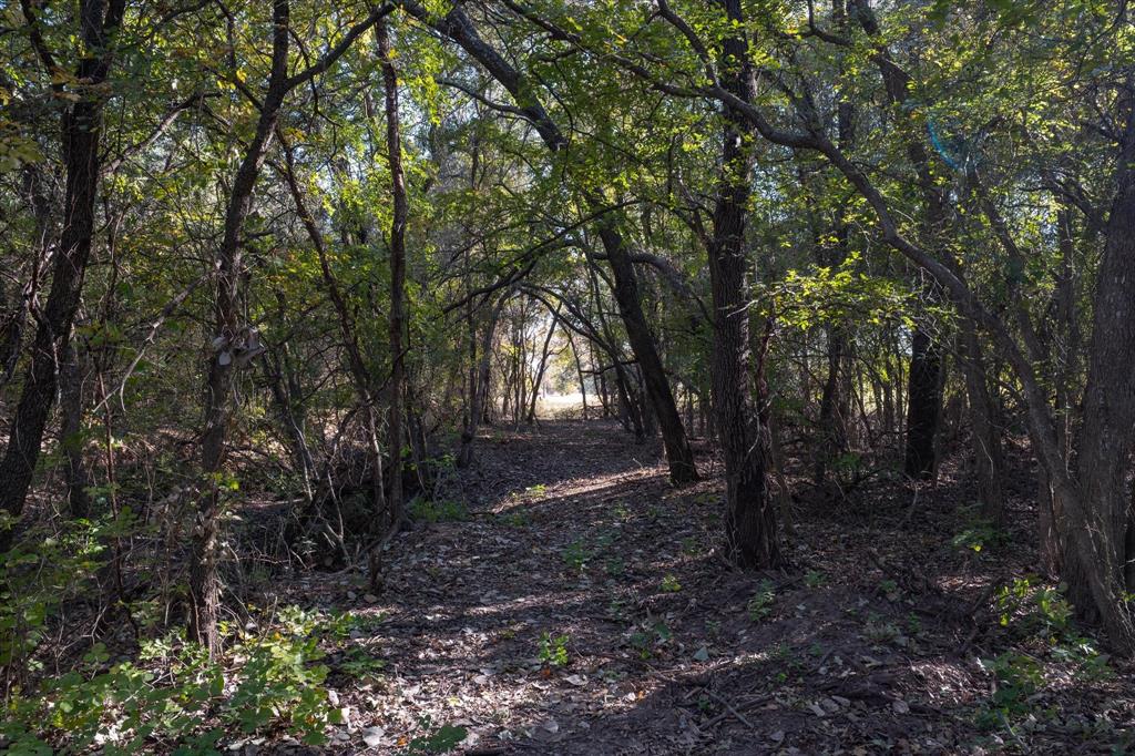 10010 Horizon View Tolar, TX 76476 - Photo 8 of 10 a view of outdoor space and yard