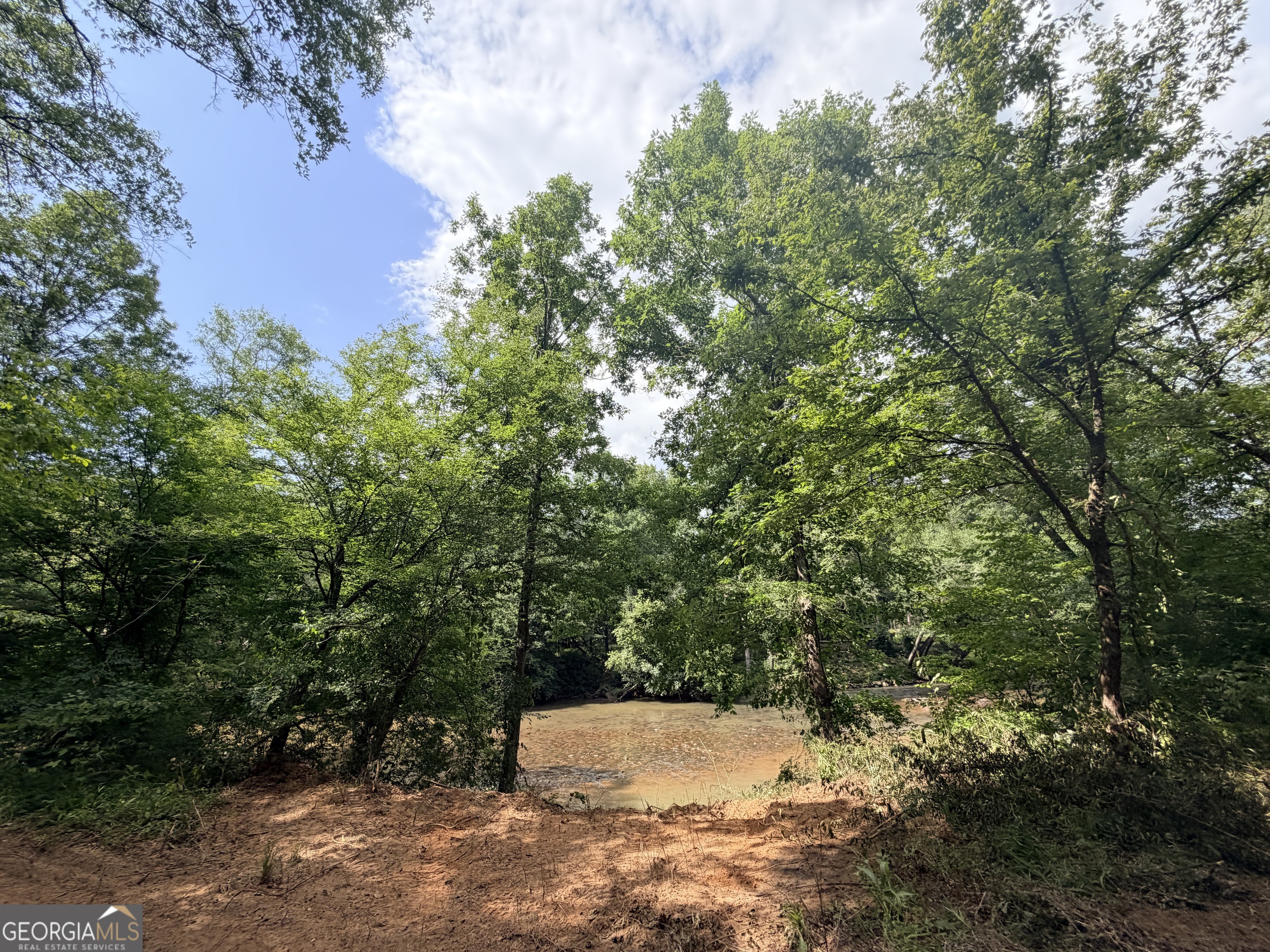 1590 James Adams Road Danielsville, GA 30633 - Photo 51 of 98
