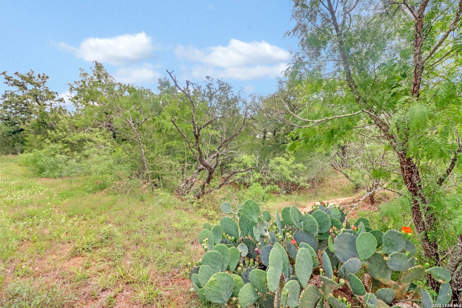 Tbd Cross Road Seguin, TX 78155 - Photo 21 of 23