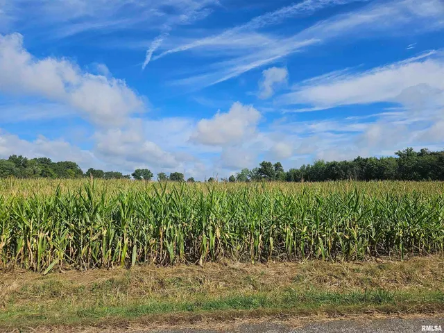 $300,000 | 0 North County Line Road, Ina, IL 62846