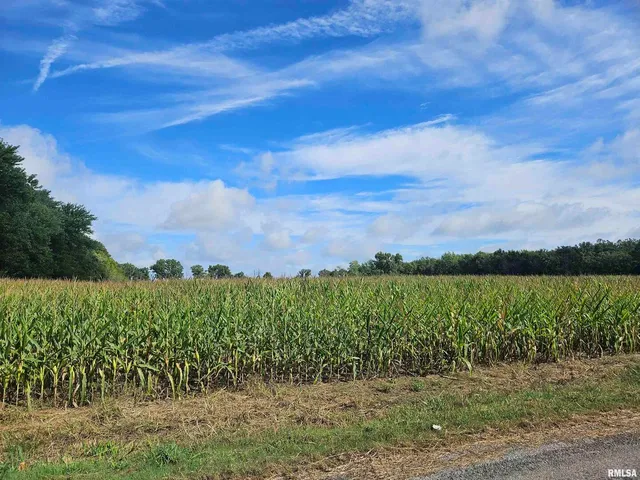 a view of a lake with a yard