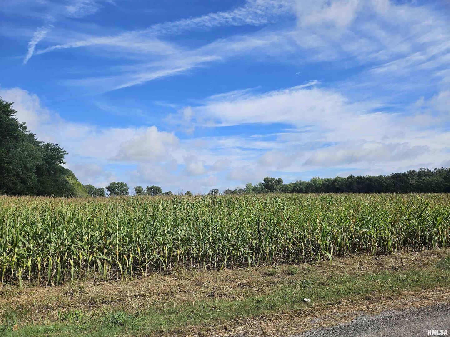 0 North County Line Road Ina, IL 62846 - Photo 11 of 13 a view of a lake with a yard