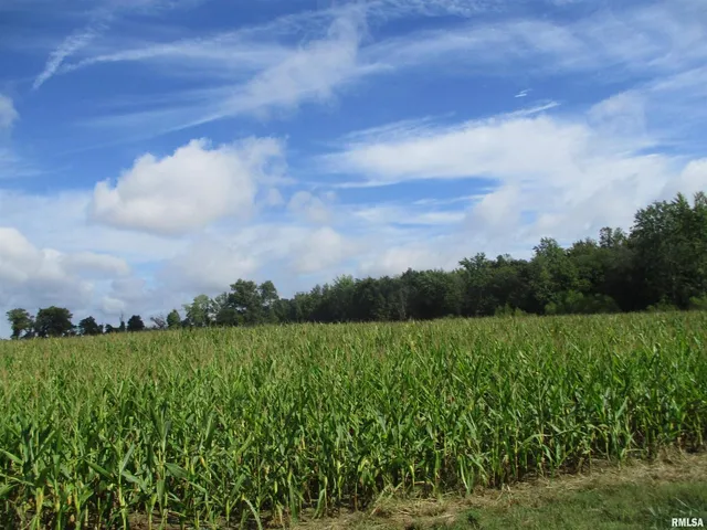 a view of a lush green space with a lake in the background