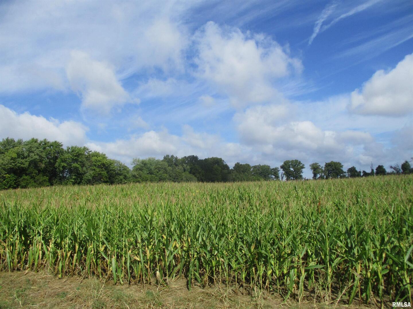 0 North County Line Road Ina, IL 62846 - Photo 7 of 13 a view of a lush green field