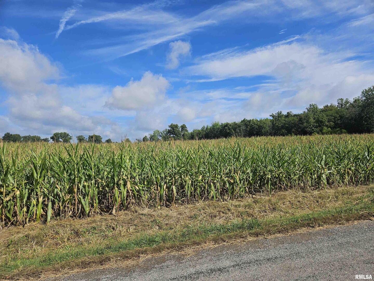 0 North County Line Road Ina, IL 62846 - Photo 8 of 13 a view of a yard with wooden fence