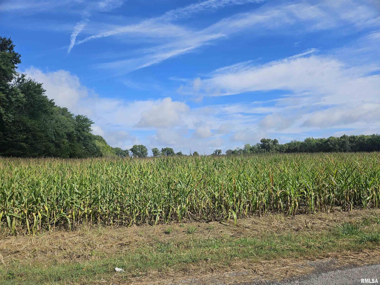 0 North County Line Road Ina, IL 62846 - Photo 10 of 13 a view of a garden with an ocean