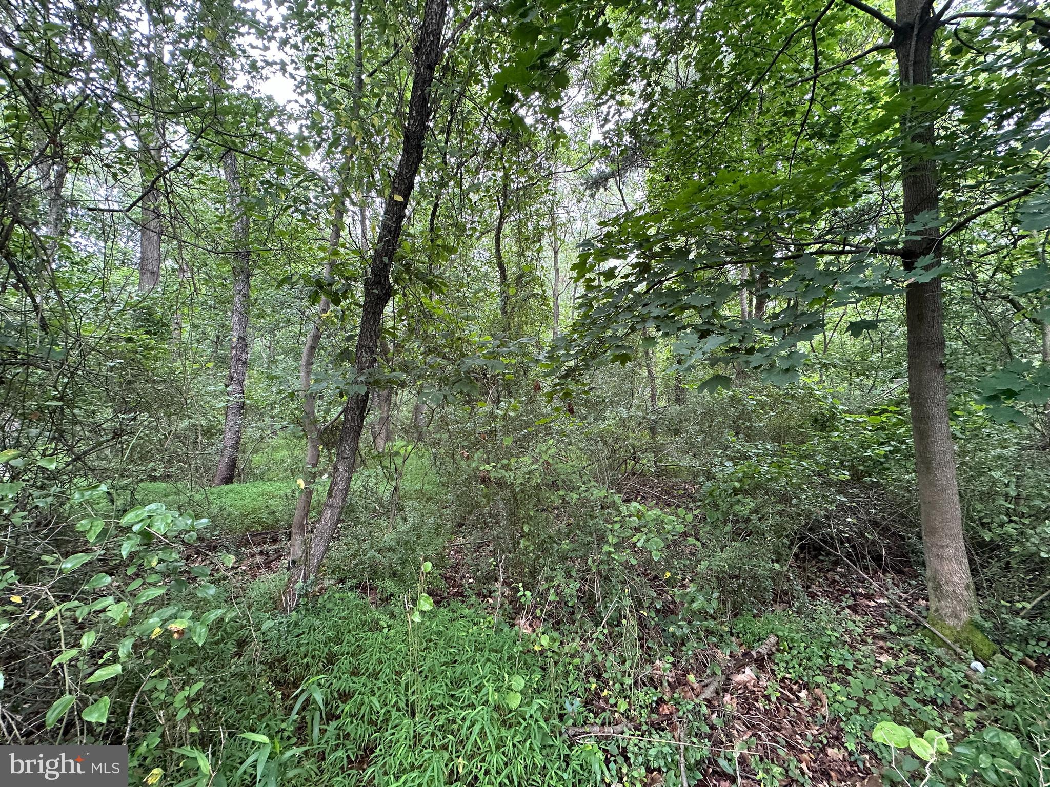 9-acres Polidor Road Waynesboro, PA 17268 - Photo 10 of 20