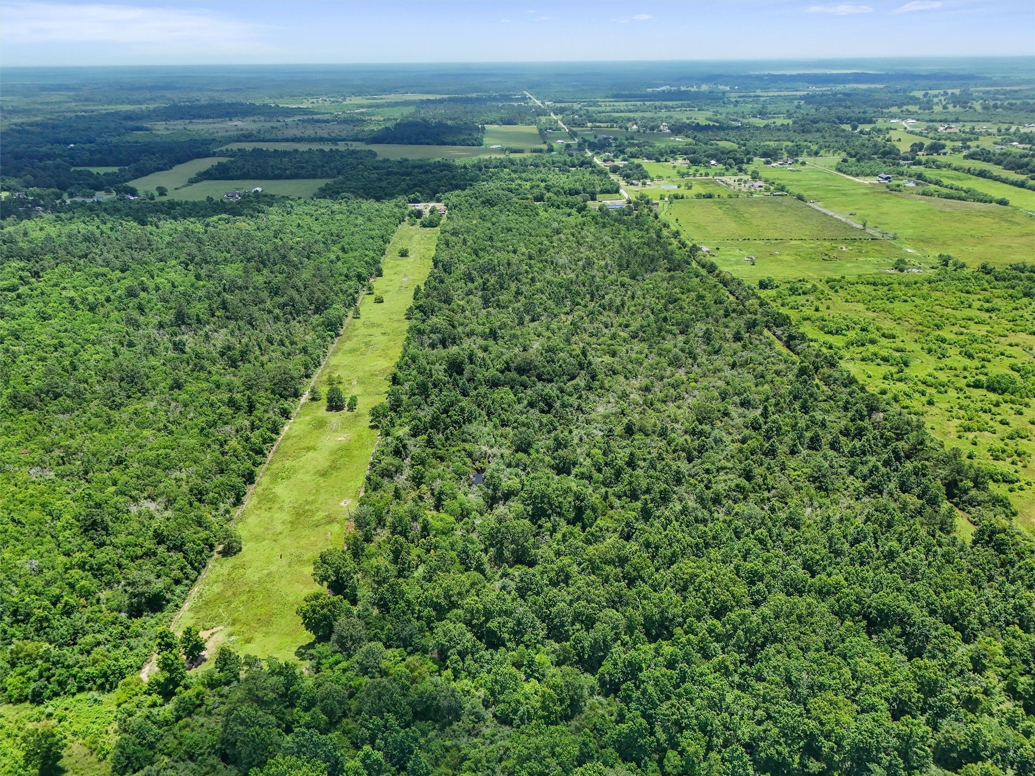 182 County Road 182 Liberty, TX 77575 - Photo 5 of 9 a view of a green field with lots of green space