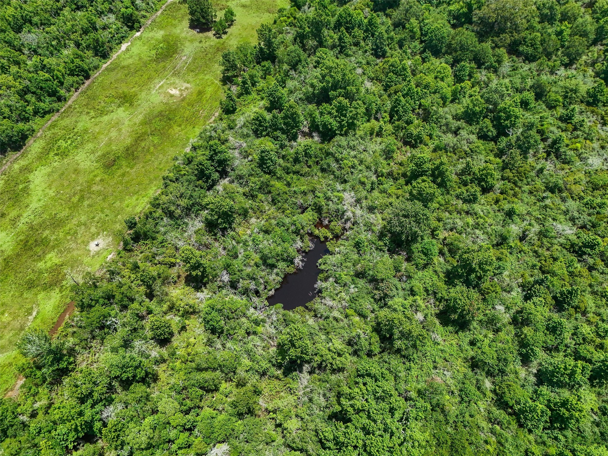 182 County Road 182 Liberty, TX 77575 - Photo 6 of 9