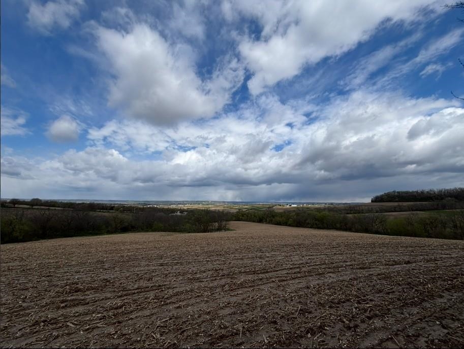 5829 South Pleasant Hill Road Elizabeth, IL 61028 - Photo 43 of 68