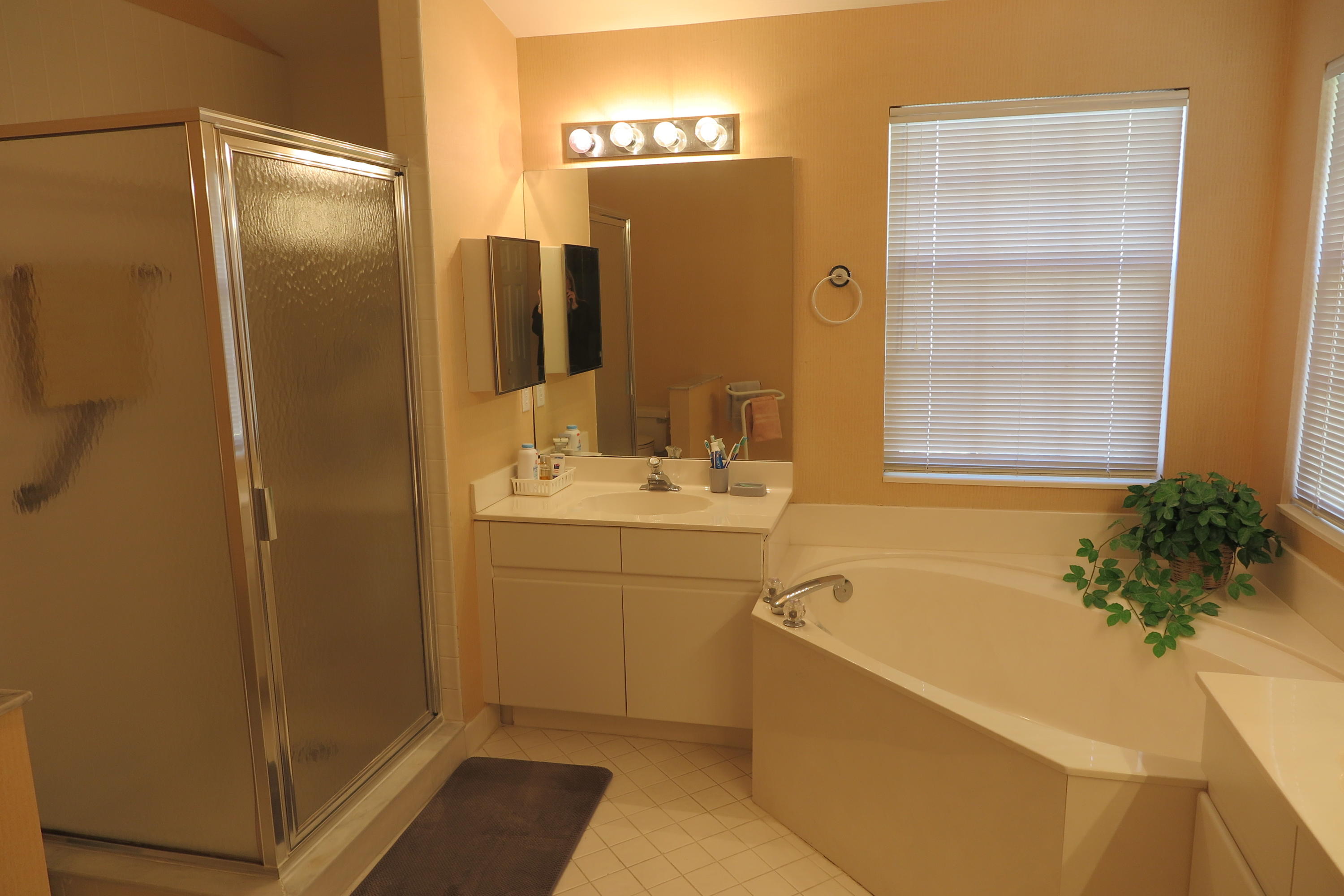 7303 Panache Way Boca Raton, FL 33433 - Photo 11 of 21 master bathroom (2)