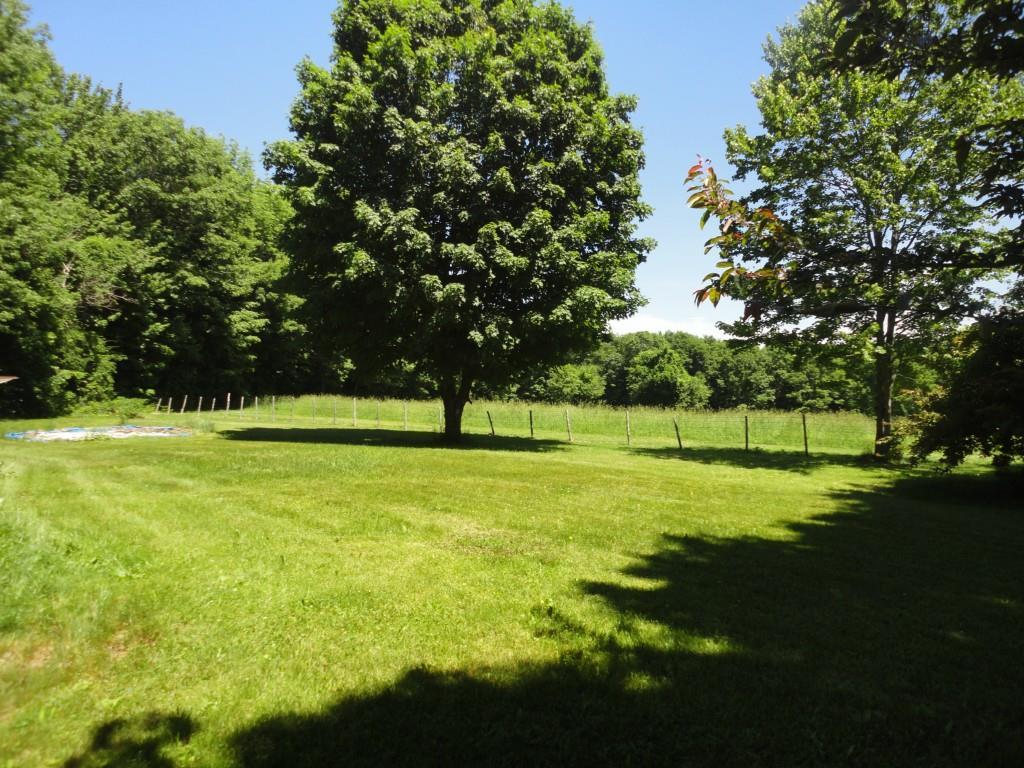 346 Megquier Hill Road Poland, ME 04274 - Photo 5 of 19 Back Yard