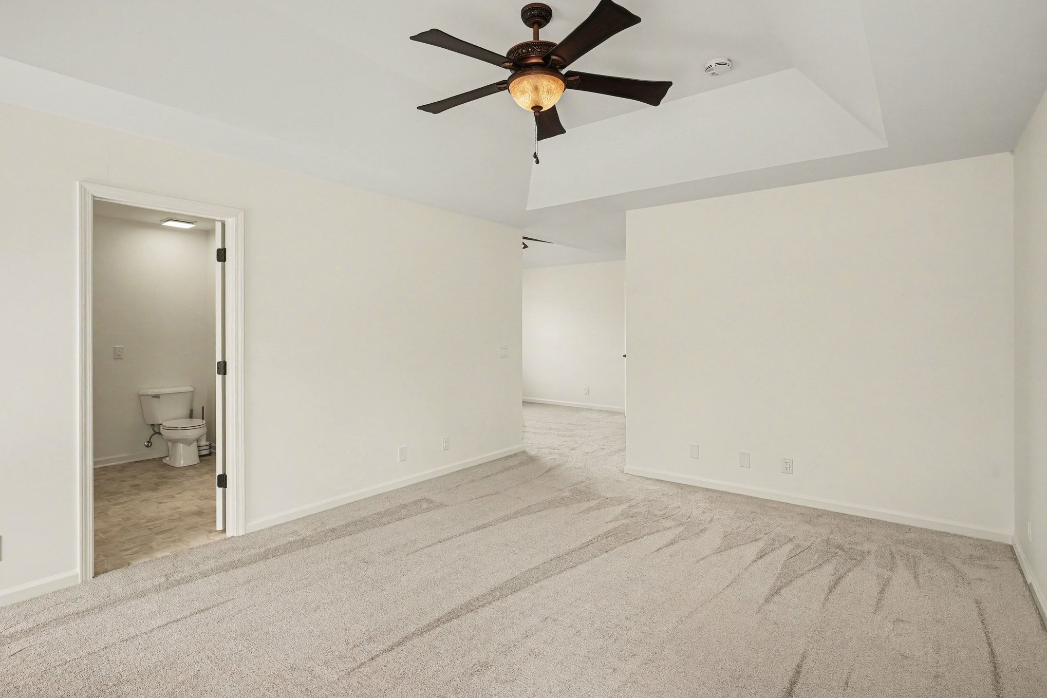 161 Fieldstone Lane Springfield, TN 37172 - Photo 11 of 26 a view of a room with a chandelier fan and closet