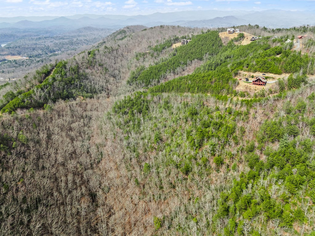 13-acres American Eagle Road Murphy, NC 28906 - Photo 4 of 17